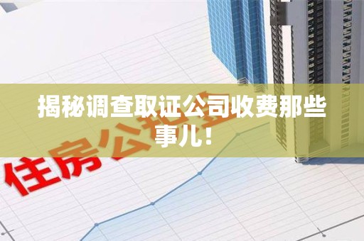 龙岩揭秘调查取证公司收费那些事儿！