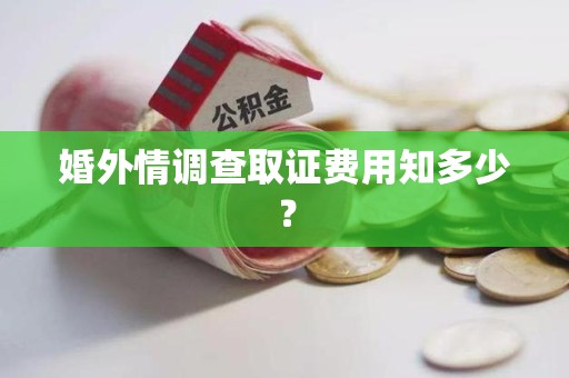 龙岩婚外情调查取证费用知多少？