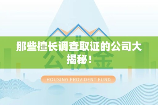 龙岩那些擅长调查取证的公司大揭秘！