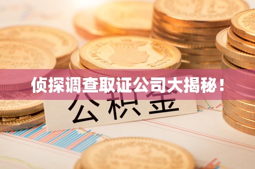龙岩侦探调查取证公司大揭秘！