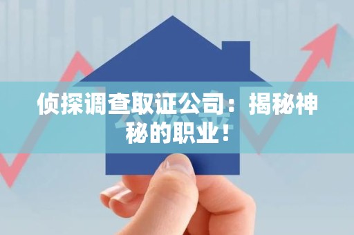 龙岩侦探调查取证公司：揭秘神秘的职业！
