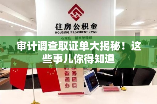 龙岩审计调查取证单大揭秘！这些事儿你得知道