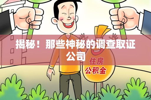 龙岩揭秘！那些神秘的调查取证公司