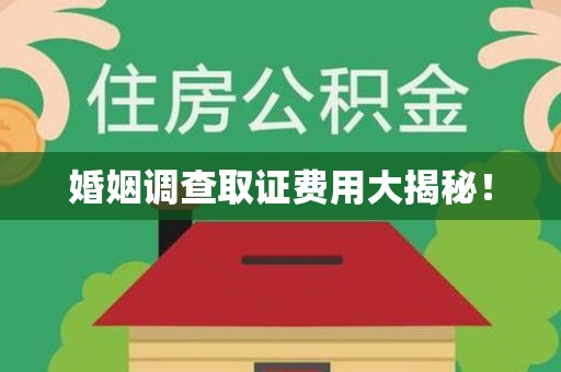 龙岩婚姻调查取证费用大揭秘！