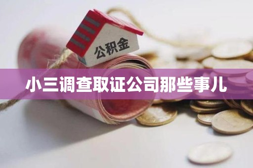 龙岩小三调查取证公司那些事儿