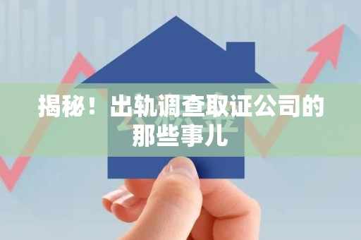 龙岩揭秘！出轨调查取证公司的那些事儿
