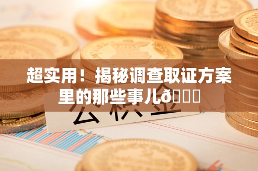 龙岩超实用！揭秘调查取证方案里的那些事儿😎