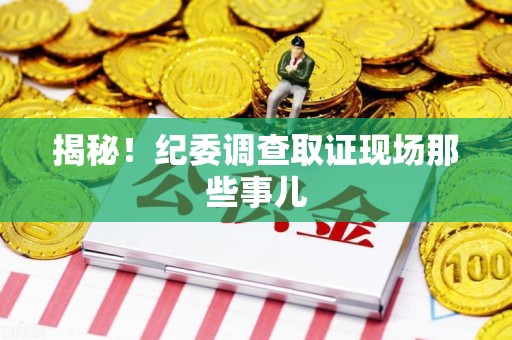 龙岩揭秘！纪委调查取证现场那些事儿