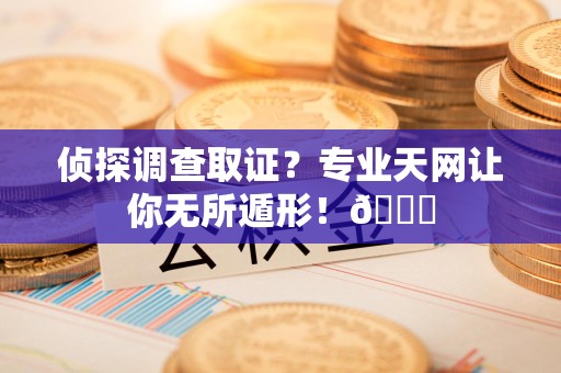 龙岩侦探调查取证？专业天网让你无所遁形！😎