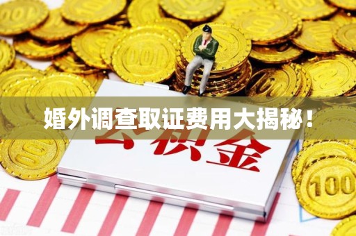 龙岩婚外调查取证费用大揭秘！