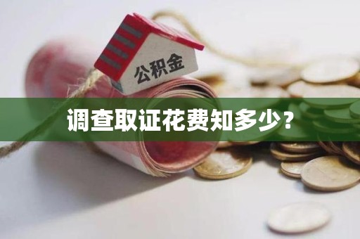 龙岩调查取证花费知多少？