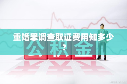 龙岩重婚罪调查取证费用知多少？