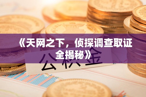 龙岩《天网之下，侦探调查取证全揭秘》