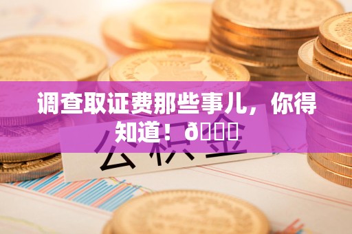 龙岩调查取证费那些事儿，你得知道！😎