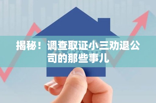龙岩揭秘！调查取证小三劝退公司的那些事儿