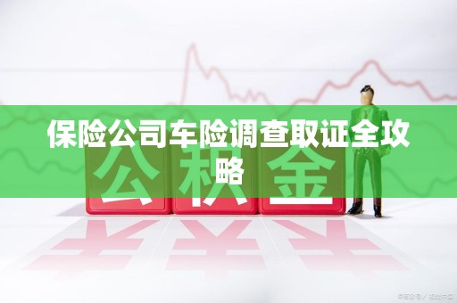 龙岩保险公司车险调查取证全攻略