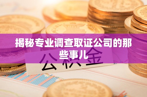 龙岩揭秘专业调查取证公司的那些事儿