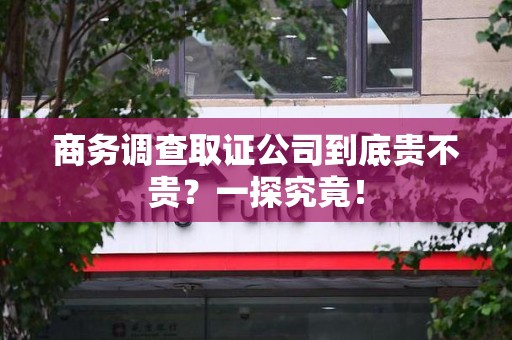 龙岩商务调查取证公司到底贵不贵？一探究竟！