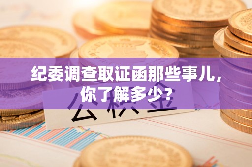 龙岩纪委调查取证函那些事儿，你了解多少？
