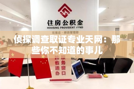 龙岩侦探调查取证专业天网：那些你不知道的事儿