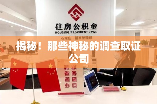 龙岩揭秘！那些神秘的调查取证公司