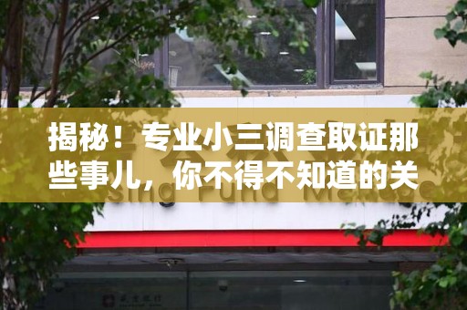 龙岩揭秘！专业小三调查取证那些事儿，你不得不知道的关键点