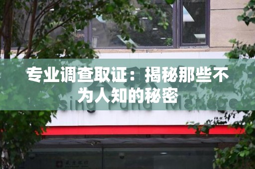 龙岩专业调查取证：揭秘那些不为人知的秘密
