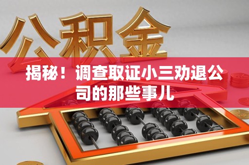 龙岩揭秘！调查取证小三劝退公司的那些事儿