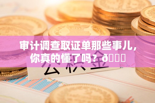 龙岩审计调查取证单那些事儿，你真的懂了吗？😎