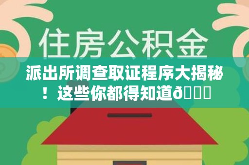 龙岩派出所调查取证程序大揭秘！这些你都得知道😉