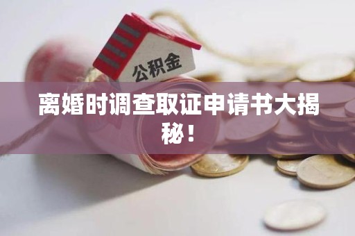 龙岩离婚时调查取证申请书大揭秘！